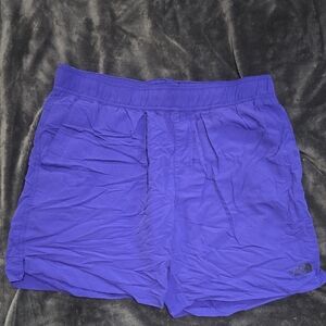 The North Face Men's Athletic Shorts - Purple